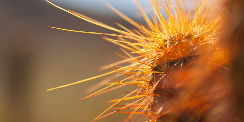 从纪念品到情感纽带：医疗健康机构如何通过创意礼物与个性化礼物建立深度患者信任