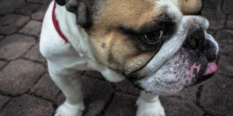 从纪念品到杰礼品：解码礼品定制三大趋势，打造不可复制的感动