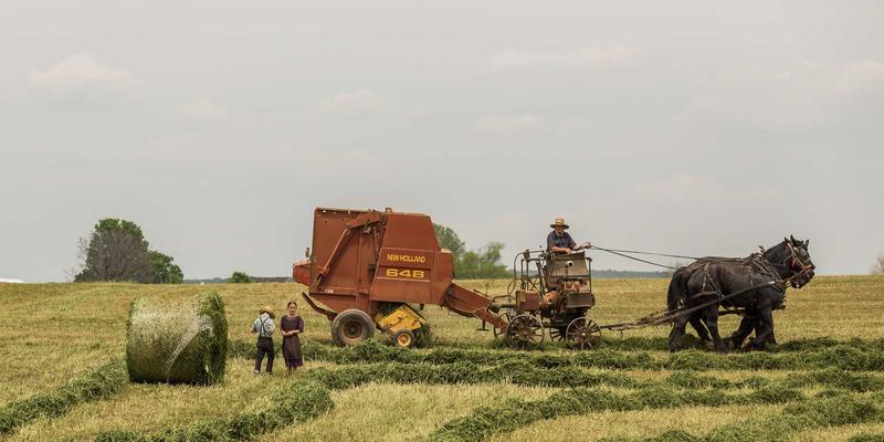 创意礼物与礼品定制：如何通过员工入职周年纪念品提升归属感与团队凝聚力