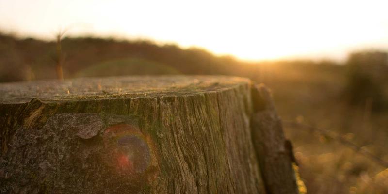 婚庆礼品定制指南：如何打造独特的企业礼品与创意纪念品