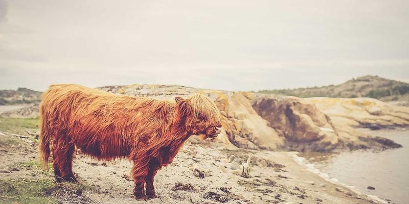 时尚行业跨界礼品定制：如何将品牌元素与实用配饰完美结合，打造难忘的创意礼物