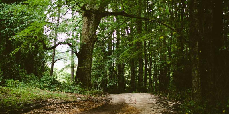 智能硬件与物联网技术：重塑企业纪念品与创意礼物的定制新纪元