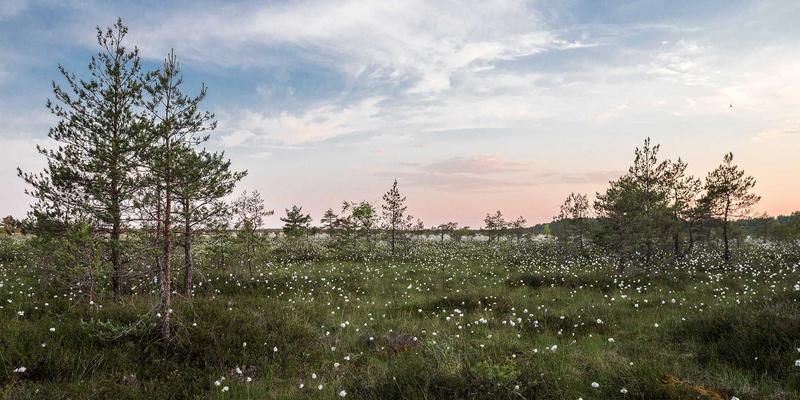 杰礼品定制：用个性化礼物打造不可复制的仪式感