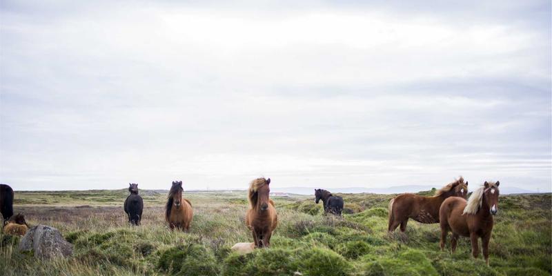 礼品定制35：创意礼物如何通过个性化定制打造难忘的杰礼品