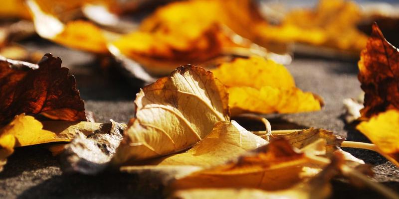 礼品定制5.4时代：杰礼品如何重塑企业价值连接新范式