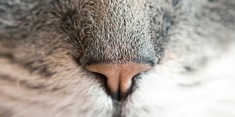 礼品定制56：创意礼物与企业礼品的完美融合之道