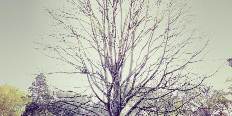 礼品定制：用个性化礼物打造独一无二的情感连接