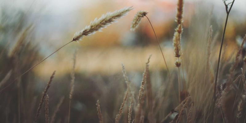 科技赋能礼品定制：3D打印与AR技术如何重塑个性化纪念品与创意礼物体验