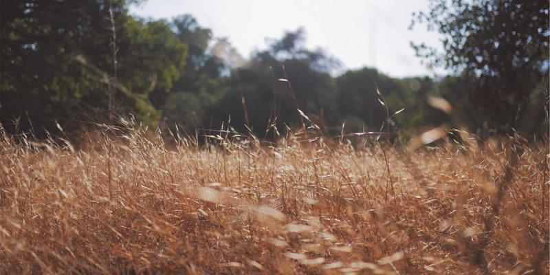 绿色办公礼品定制：用环保材质与低碳设计，打造彰显企业社会责任的创意礼物